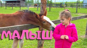 Девочка верхом на Лошади ?