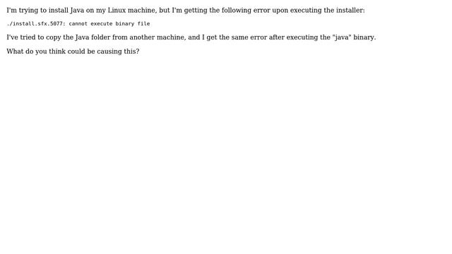 Java: cannot execute binary file? смотреть онлайн