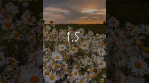 танцуй эти тренды на разных скоростях. Я старался поставь лай и напиши комм если хочешь 2 часть ?