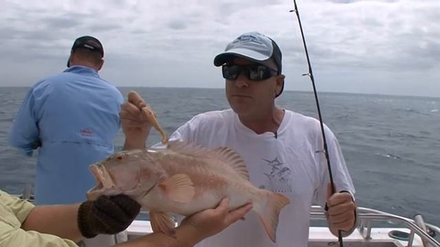 GULP-Gulp in the Gulf смотреть онлайн