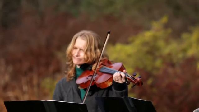 South West Classical & Contemporary String Quartet | Atlantis Strings - Fly Me To The Moon