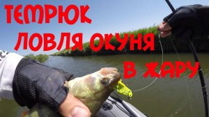 Рыбалка в Темрюке 2020. Ловля окуня