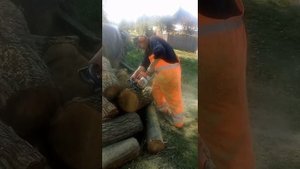 Stihl MS 260!