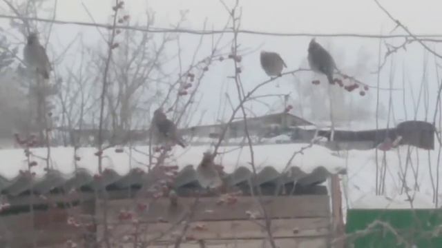 Утренний Релакс!ВЕСНА? смотреть онлайн