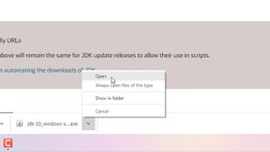 Failed To Download Version Mainfest Can Not Find Client Jar URL - 2023  -Fix