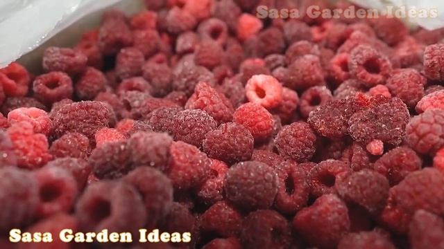 5 Ways Farmers Harvest Watermelon On The Farm, Modern Agricultural Machinery Is On Another Level
