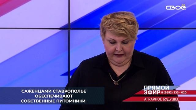 На Ставрополье наращивают тепличные мощности