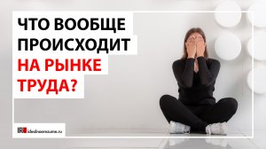 Непонимание ситуации на рынке труда | 5 страхов поиска работы