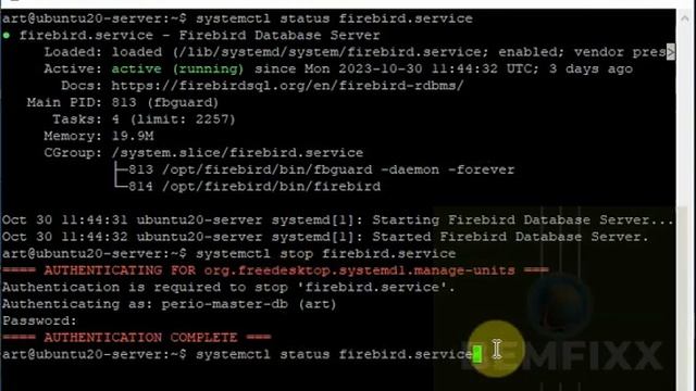 How to start, stop and watch status Firebird 4.0 service in Ubuntu 20 server. Useful commands. смотреть онлайн
