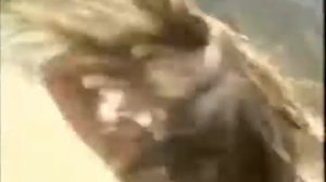 Aerosmith. Feat Alicia Silverstone - Cryin'