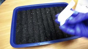 Посев семян ТОМАТОВ  Гномов на рассаду