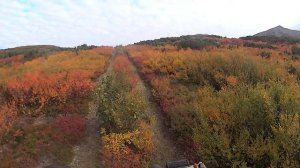 Охота и Рыбалка на Чукотке.