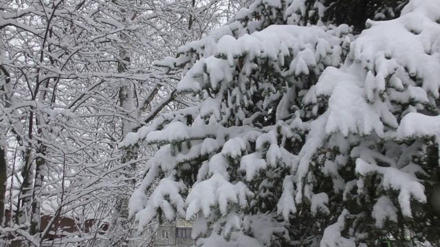 Храм Иоанна Шанхайского зимой смотреть онлайн