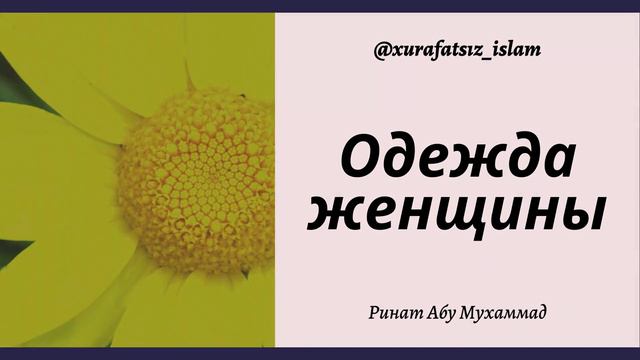 Одежда женщины | Ринат Абу Мухаммад
