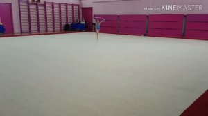 Открытое Первенство по художественной гимнастике Г о Подольск