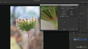 Using Image Size to change document dimensions in Photoshop 2022