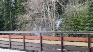 Архыз февраль 2024 | MAIRI park hotel - Левону 1,2г | Сафине 4,1г