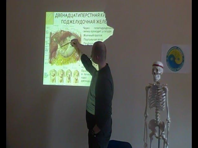 Семинар ВИСЦЕРАЛЬНАЯ ОСТЕОПАТИЯ 1 ВО1_23 смотреть онлайн