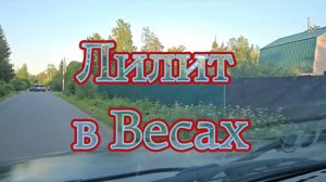 Лилит в Весах