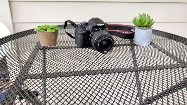 What's In a BEGINNER'S BAG!? (2019) смотреть онлайн