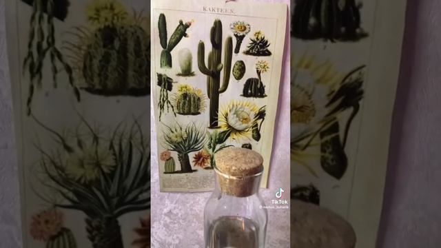 Подборка для Травниц и Ведьм ??