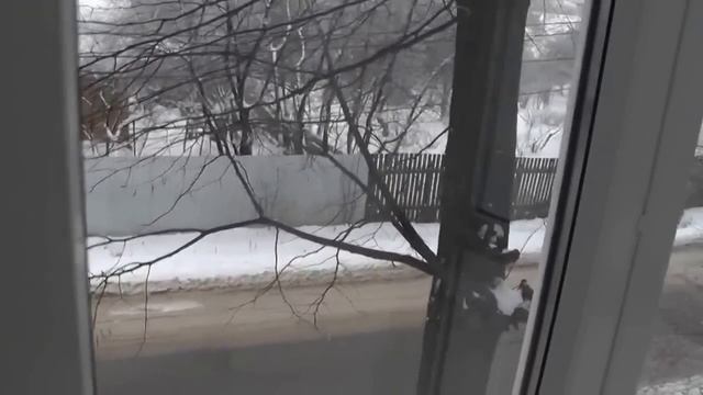 ОСТЕКЛЕНИЕ БАЛКОНА ПОД КЛЮЧ. ГОТОВЫЙ ВАРИАНТ ФРАНЦУЗСКОЕ ОСТЕКЛЕНИЕ ОКНА КАЛЕВА. 2Я часть! смотреть онлайн