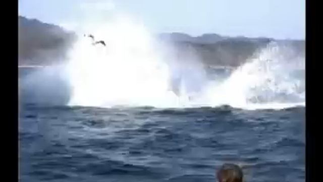 "Angels of the Sea" by "Raymond.G.Oliver" смотреть онлайн