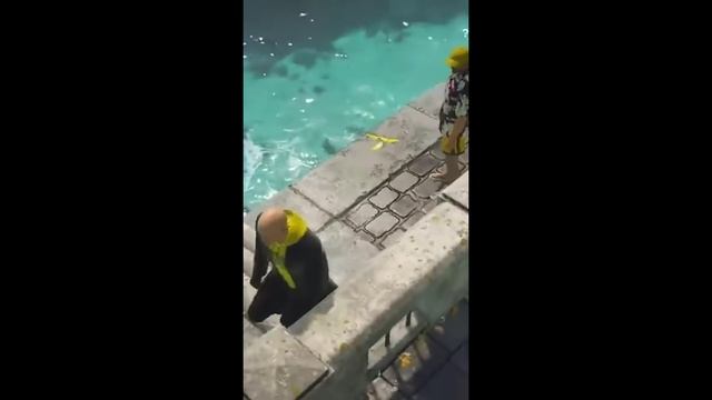Идеальное преступление