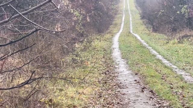 Нагонка гончей, ох и хитрющий заяц попался Соловке смотреть онлайн