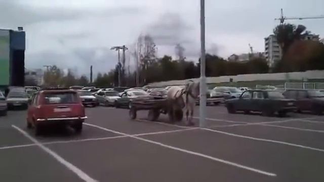 ЛОШАДЬ И ТЕЛЕГА..... смотреть онлайн