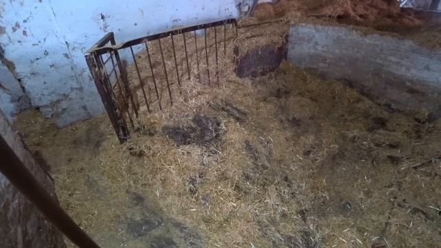 ❗ Реконструкція старої ферми під свиноматок ?️ Прибираю та планую як розмістити