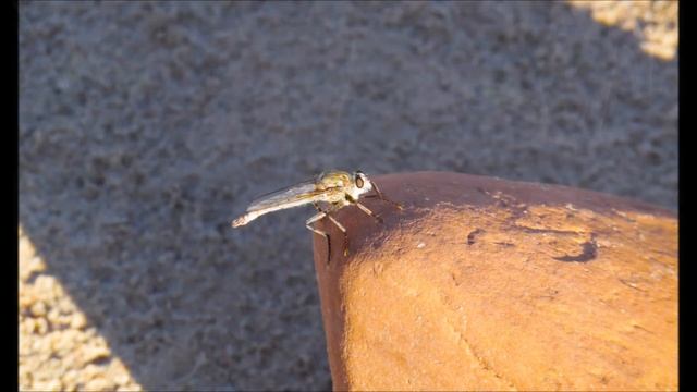 Samsung WB1100F Video and Slide Show - Utah Desert смотреть онлайн