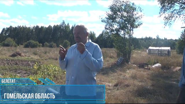 Опрос и мнения пенсионера о ситуации в стране смотреть онлайн