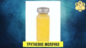 МАТОЧНОЕ И ТРУТНЕВОЕ МОЛОЧКО. ЧТО ЭТО?