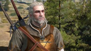 The Witcher 3  баг с купцом