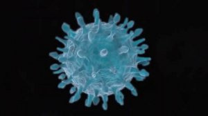 Невероятная польза лисичек