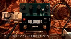 Ibanez / Tube Screamer TS808DX