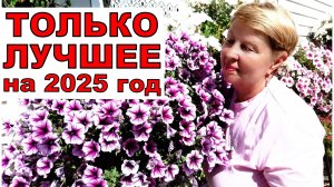 Где заказать профсемена красивых цветов и отличных овощей_ Вас ждут более 200 сортов Петуний