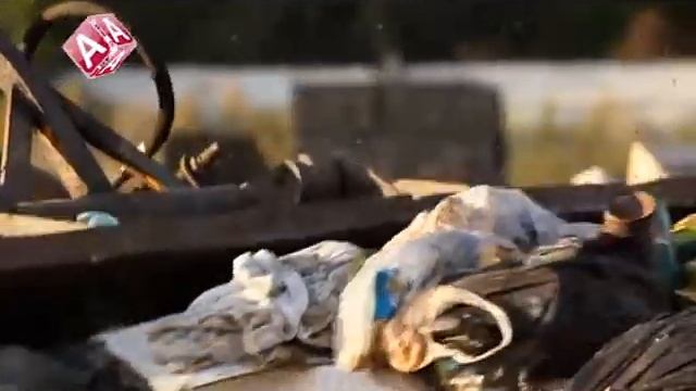 Альтернативные виды авто и энергии для них смотреть онлайн