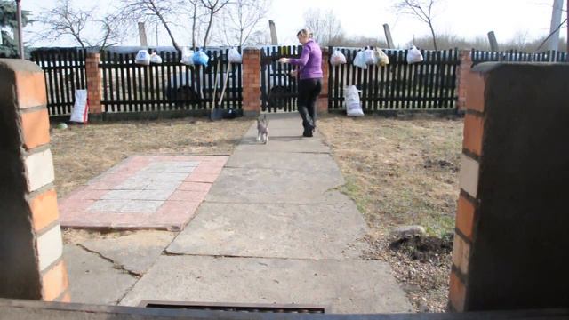 Гремлин смотреть онлайн