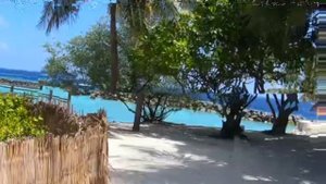 BANDOS MALDIVES 4*. Отдых на Мальдивах 🌴🐬🌴