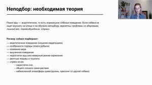 Что необходимо знать, чтобы научит собаку не подбирать