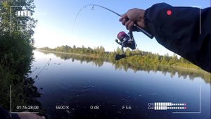 Рыбалка на Канале имени Москвы. Подбираю тему к Турнирчику