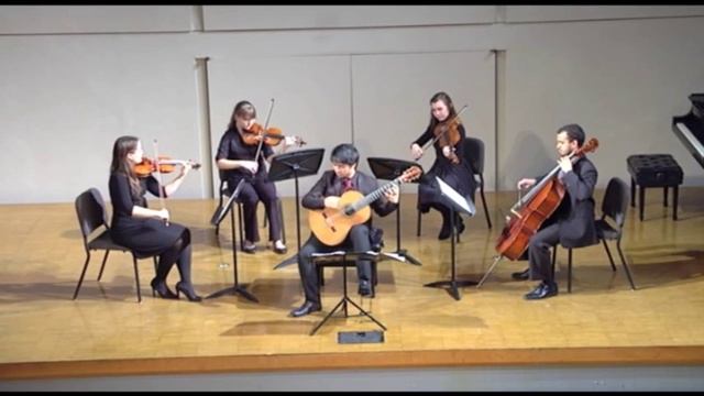 Vivaldi - Concerto for Lute and Strings