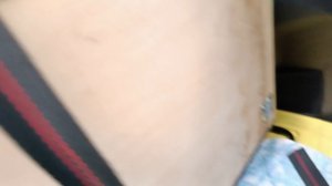 Выезжаем в отпуск в Вологодскую область. Впереди 820км.