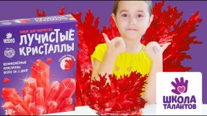 ❄Набор для творчества «Лучистые кристаллы». Настоящие кристаллы у вас дома! ❄