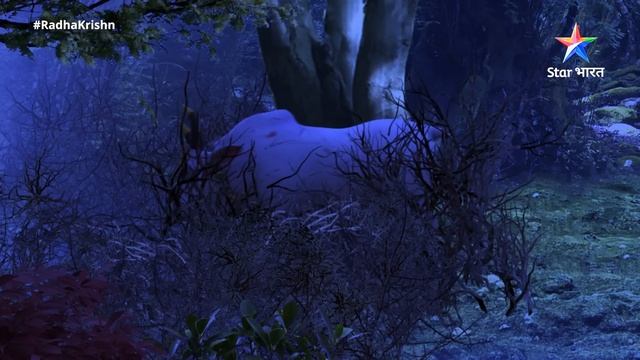 FULL VIDEO || Samb Ka Hinsak Swabhaav || RadhaKrishn Raasleela Part 385 || राधाकृष्ण смотреть онлайн