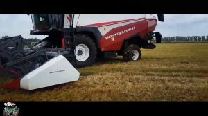 Dina Ты Словно Ветер Martik C Rmx Instrumental