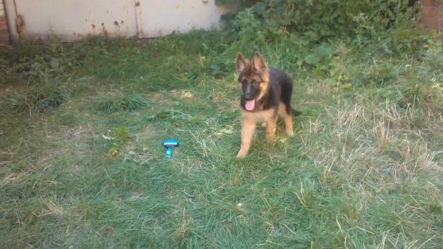 WP 20150802 132209Z смотреть онлайн