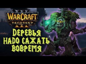 ДЕРЕВЬЯ НАДО САЖАТЬ ВОВРЕМЯ: Colorful (Ne) vs Soin (Orc) Warcraft 3 Reforged